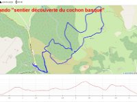 20200922-Sare Sentier des Cochons